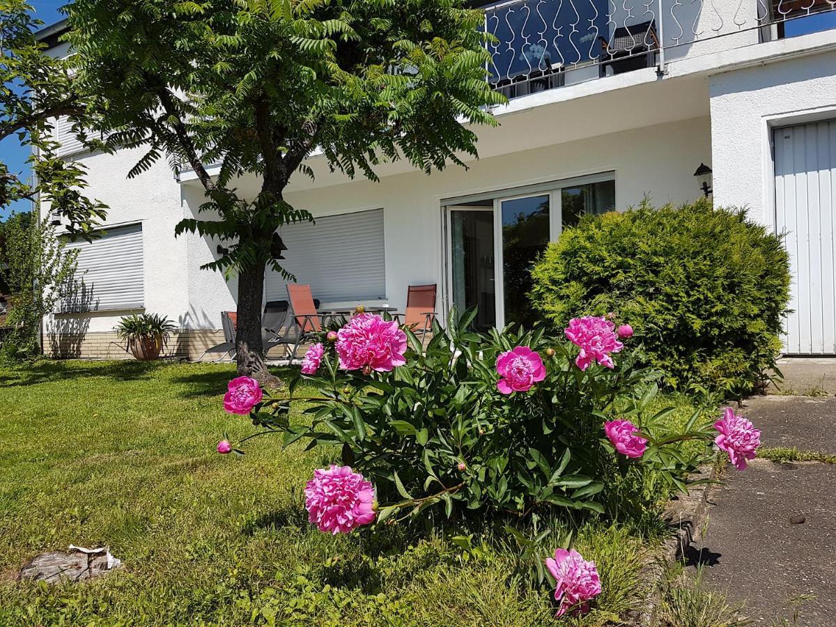 Apartament Rauszeit-Toroni Niedenstein Zewnętrze zdjęcie